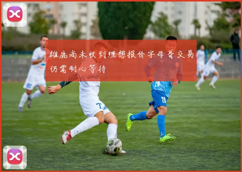 雄鹿尚未收到理想报价字母哥交易仍需耐心等待
