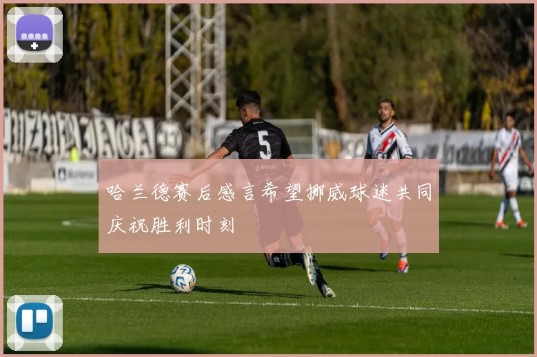 哈兰德赛后感言希望挪威球迷共同庆祝胜利时刻