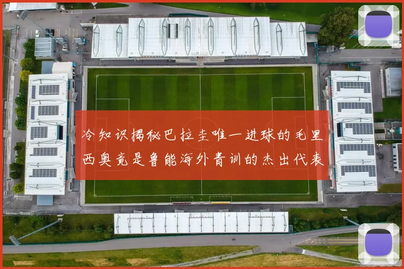 冷知识揭秘巴拉圭唯一进球的毛里西奥竟是鲁能海外青训的杰出代表
